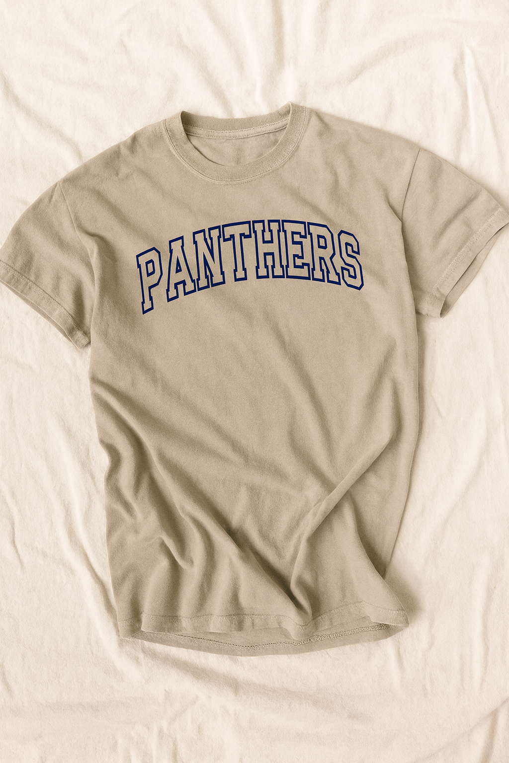 Panthers Spirit Tee