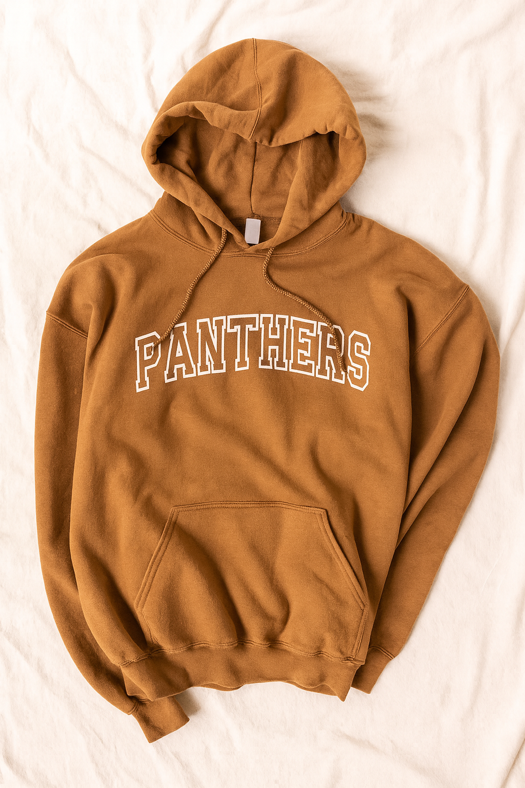 Panthers Game Day Hoodie