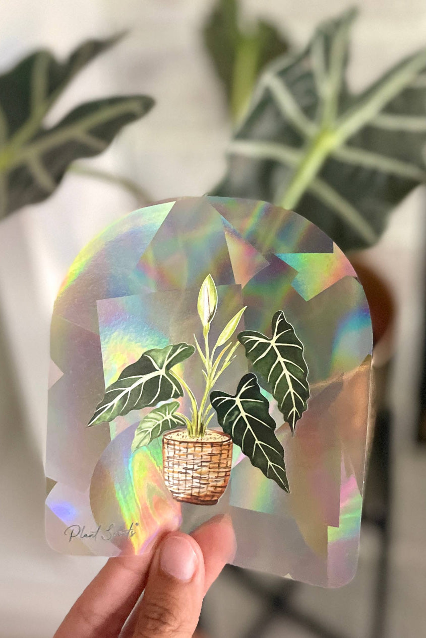 hanging plant window stickers Sun Catcher Window Sticker