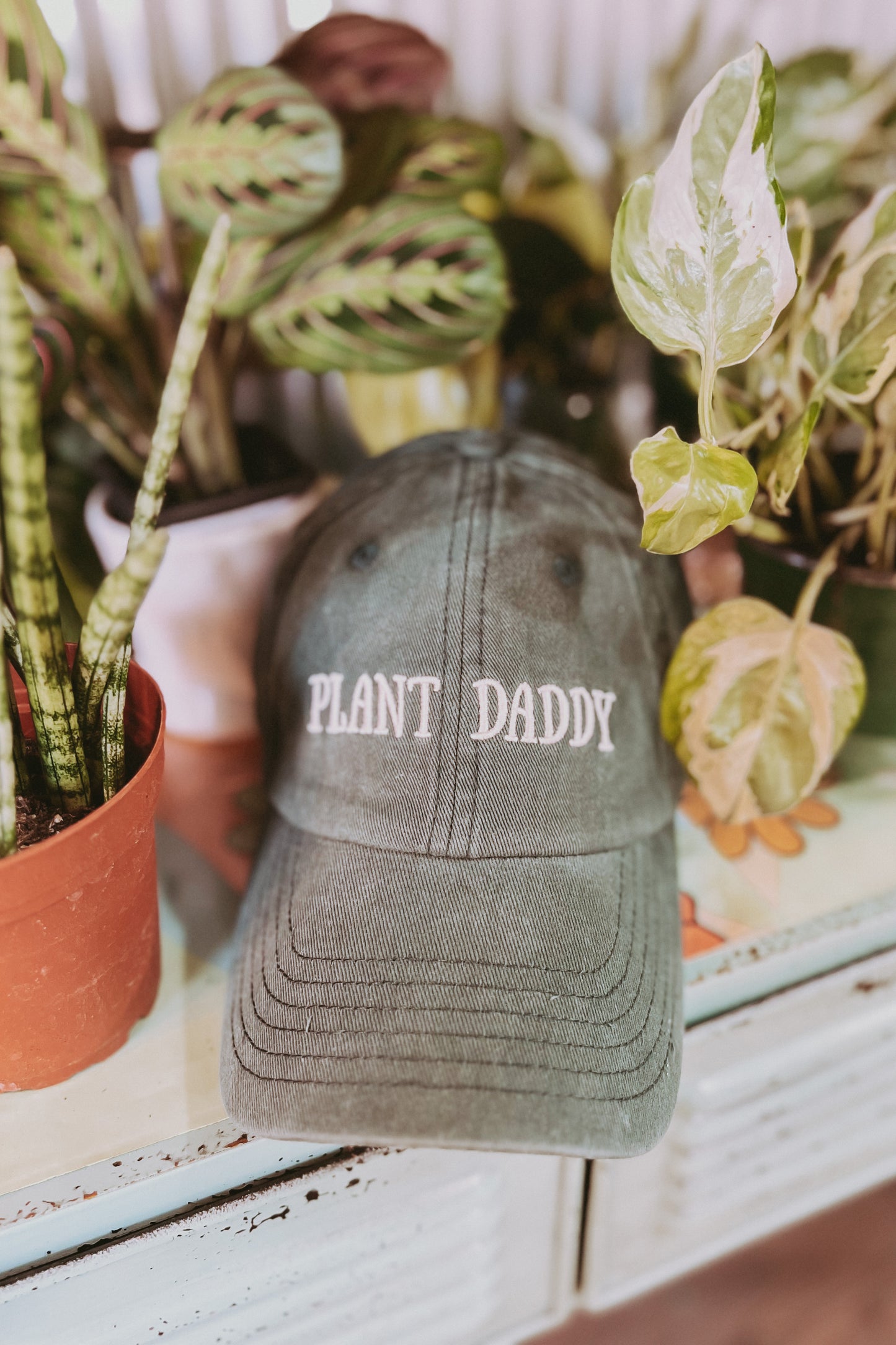 Plant Daddy Hat