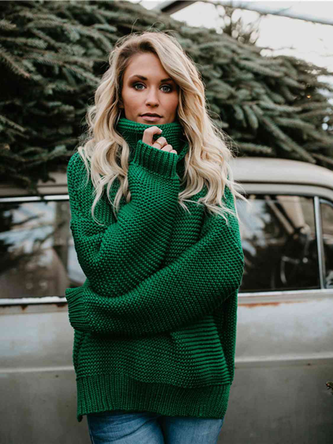 Tinsley Oversized Turtleneck Sweater