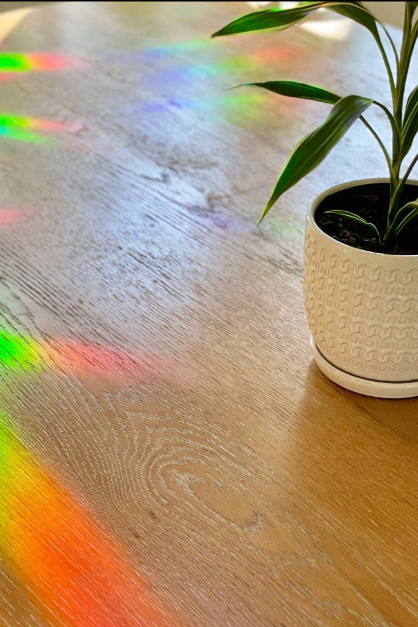 Sun Catcher Window Sticker | Monstera