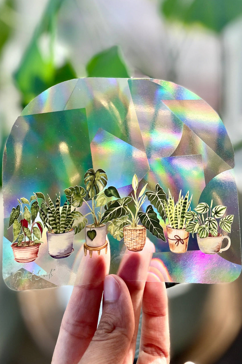 Sun Catcher Window Sticker | Potted Plant Friends