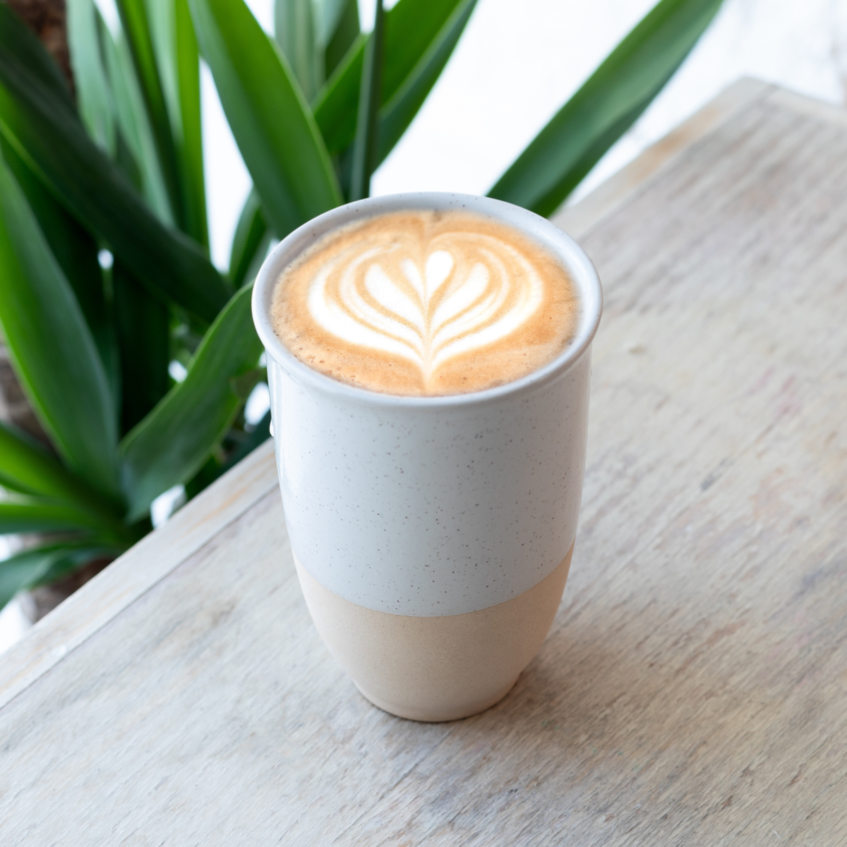 Nova Ceramics Travel Mugs - Dune 12oz Ceramic Travel Mug – Eco-Friendly Artisan Mug