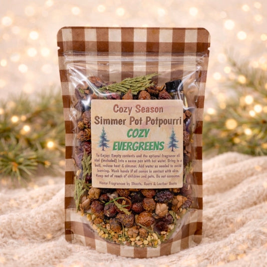 Cozy Evergreen Simmer Pot