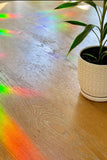 Sun Catcher Window Sticker | Potted Plant Friends
