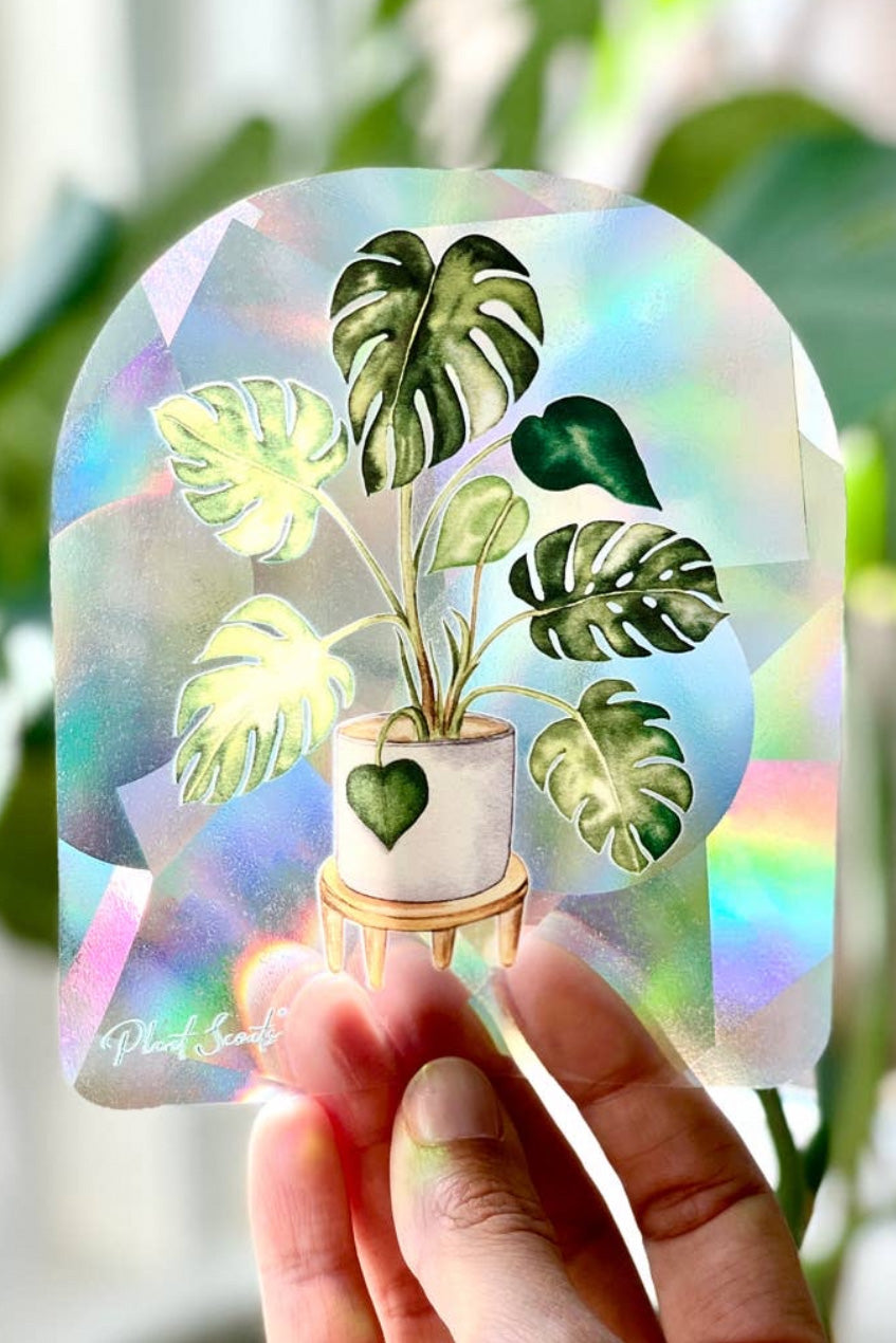 Sun Catcher Window Sticker | Monstera