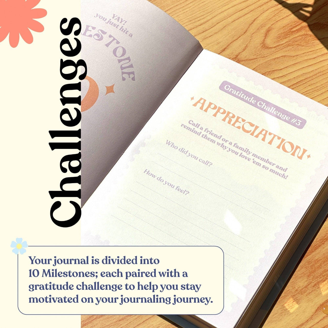 Gratitude Journal | Merry Summer
